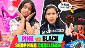 Read more about the article ₹500 Shopping Challenge: Pink vs. Black – Who Will Reign Supreme?