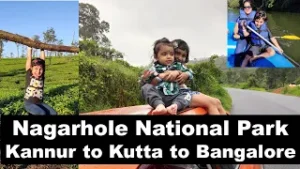 Read more about the article 🐘 Kerala Trip Part-2: Kannur to Nagarhole